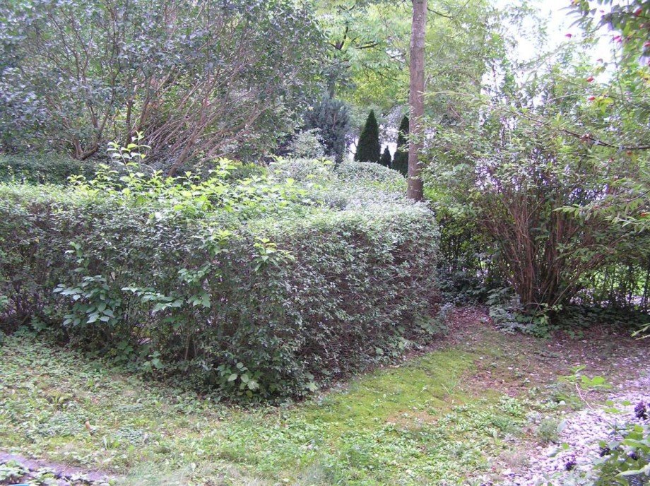 Garten Terrassenwohnung M�nchen