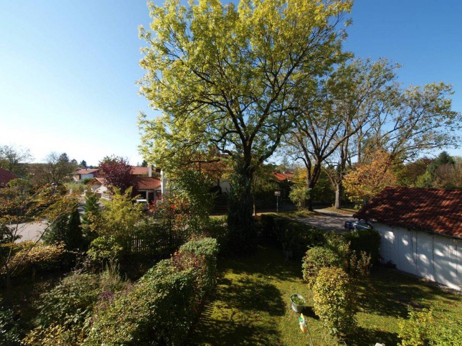 Blick ins Gr�ne Etagenwohnung Oberhaching